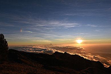 《孤岛危机复刻版三部曲》PS3 Vs.PS5视频 画面大改进